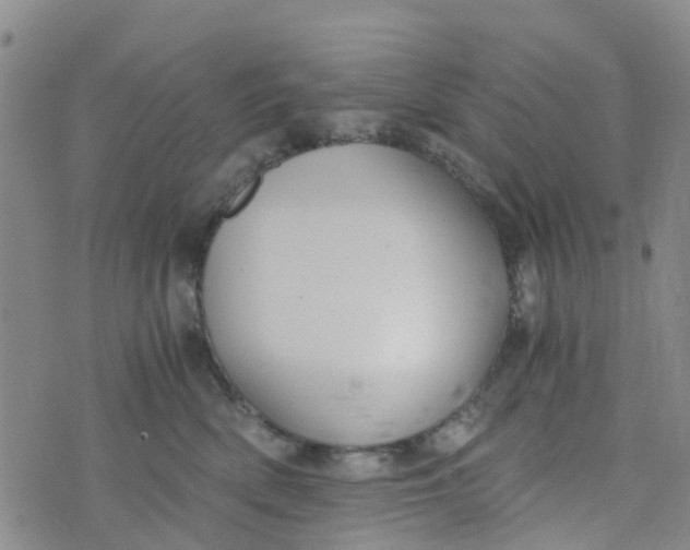 X0000073920522200609011812