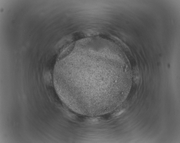 X0000073920523200609011812