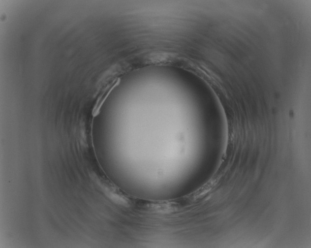 X0000073920524200609011812