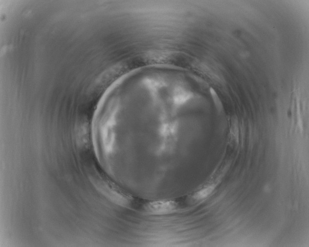 X0000073920526200609011812