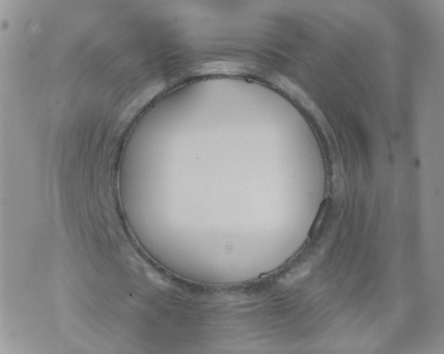 X0000073920529200609011811