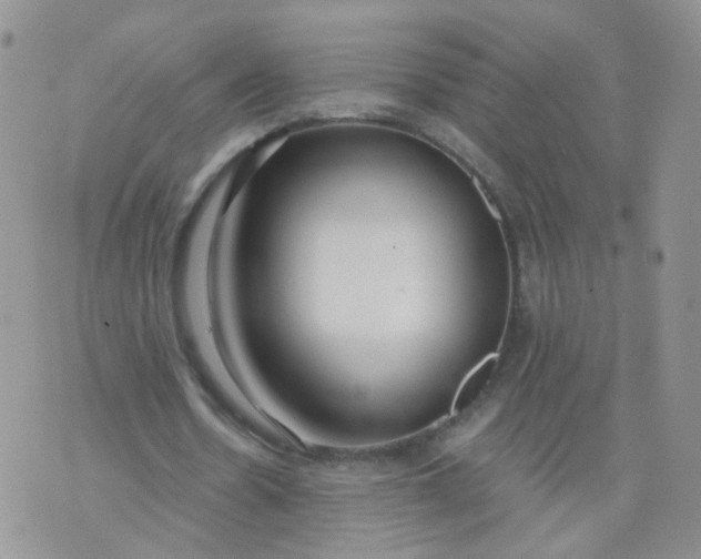 X0000073920530200609011811