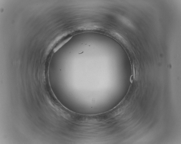 X0000073920531200609011811