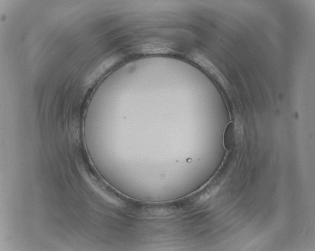 X0000073920533200609011811