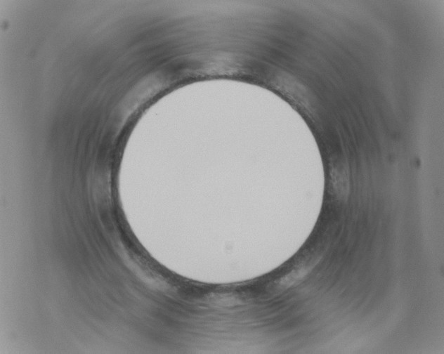 X0000073920534200609011811