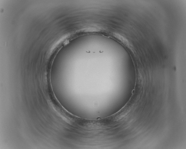 X0000073920535200609011811