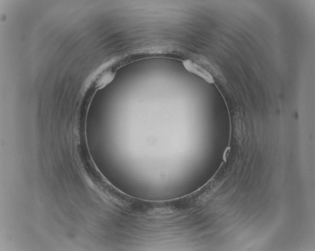 X0000073920536200609011811