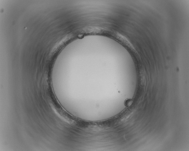 X0000073920538200609011812