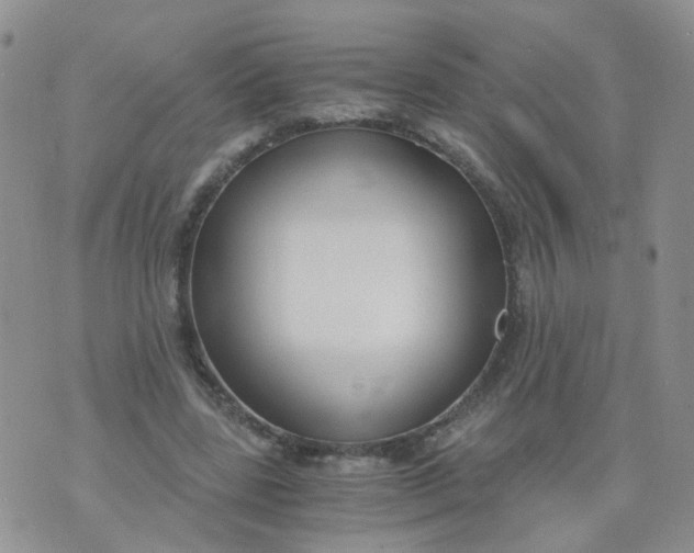 X0000073920539200609011812