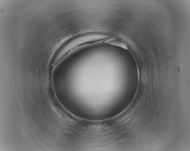 X0000073920540200609011812