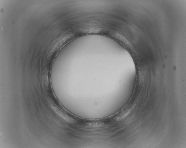 X0000073920541200609011812