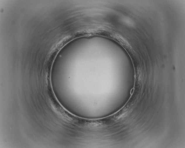 X0000073920542200609011812