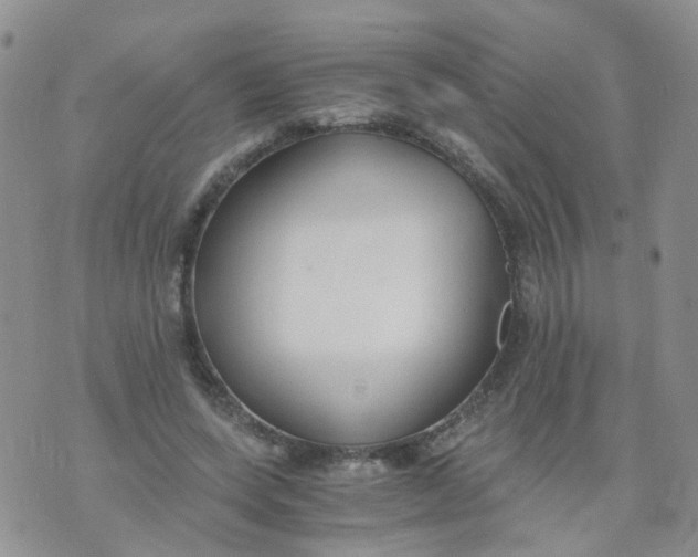 X0000073920543200609011812