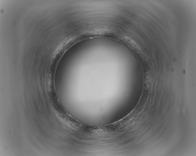 X0000073920544200609011812