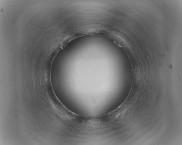 X0000073920546200609011812