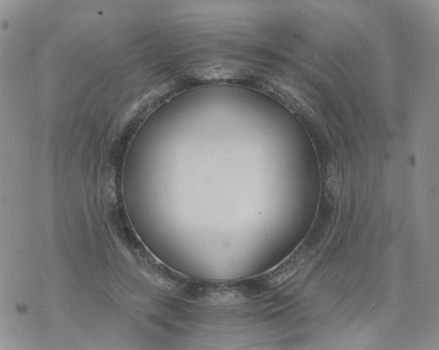 X0000073920547200609011812