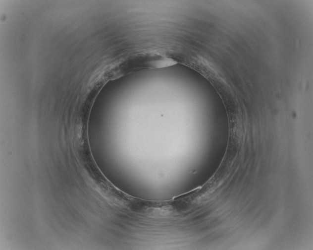 X0000073920548200609011812