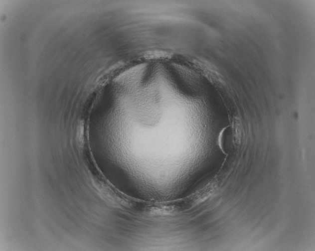 X0000073920550200609011812