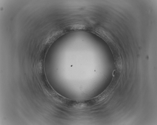 X0000073920551200609011812