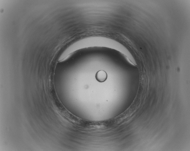 X0000073920552200609011812