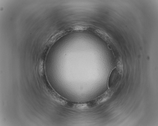 X0000073920554200609011812