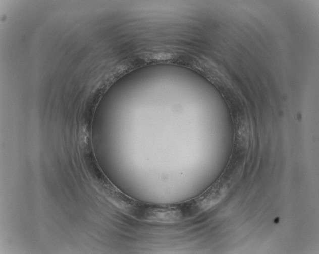 X0000073920555200609011812