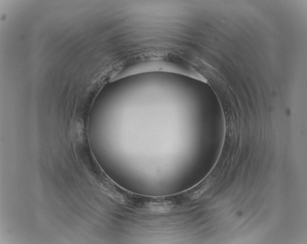 X0000073920556200609011812