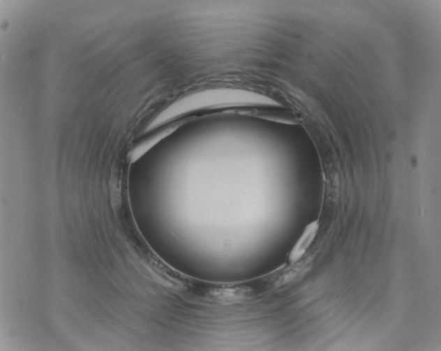 X0000073920558200609011812