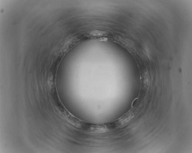 X0000073920559200609011812