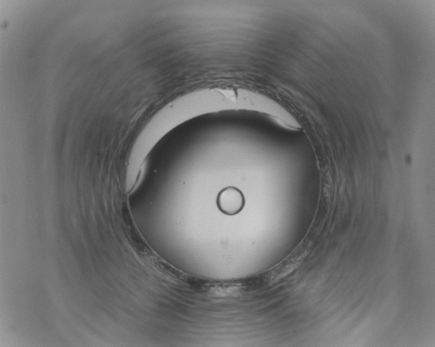 X0000073920560200609011812