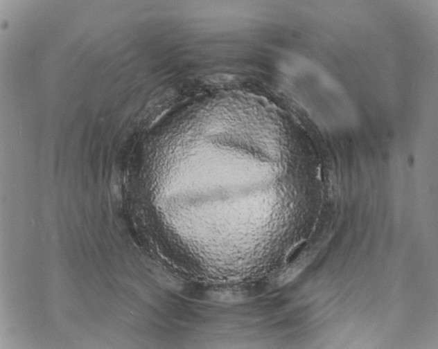 X0000073920561200609011812