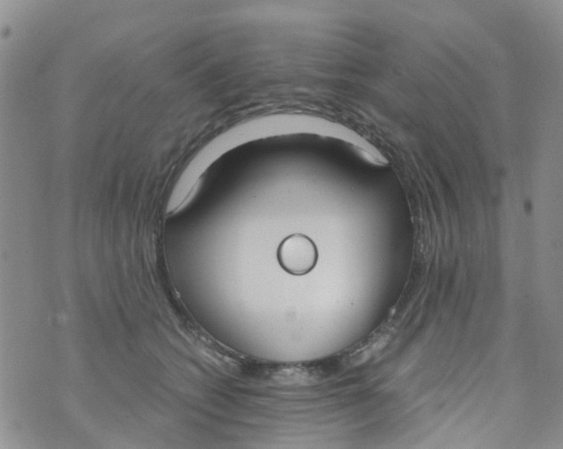 X0000073920562200609011812