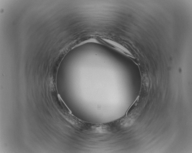 X0000073920564200609011812