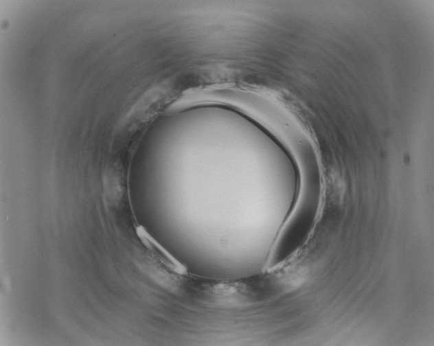 X0000073920566200609011812