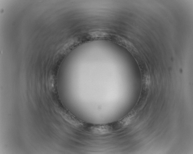 X0000073920567200609011812