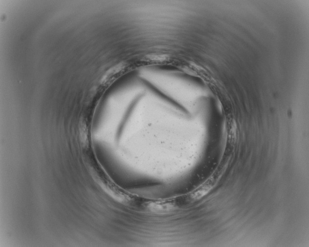 X0000073920568200609011812