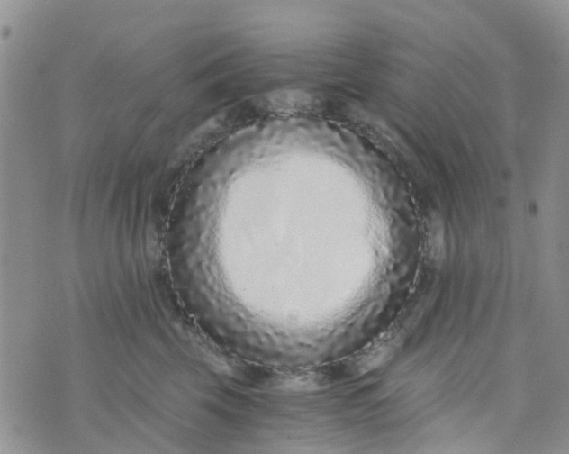 X0000073920569200609011812