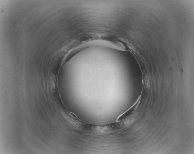 X0000073920570200609011812