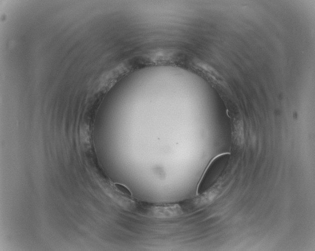 X0000073920571200609011812