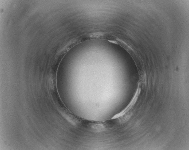 X0000073920572200609011812