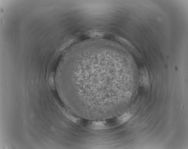 X0000073920573200609011812