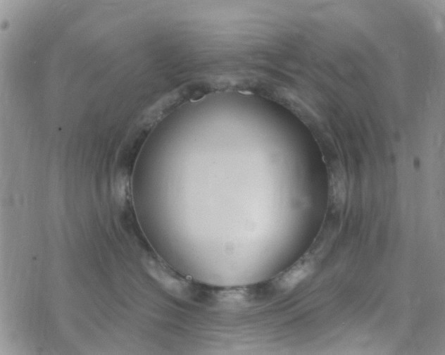 X0000073920574200609011812