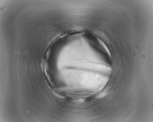 X0000073920576200609011812