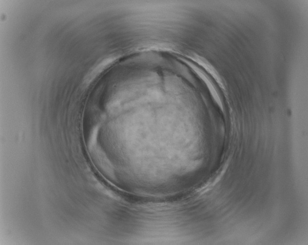 X0000073920577200609011811