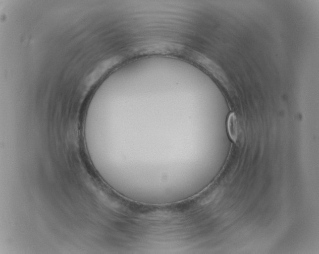 X0000073920578200609011811