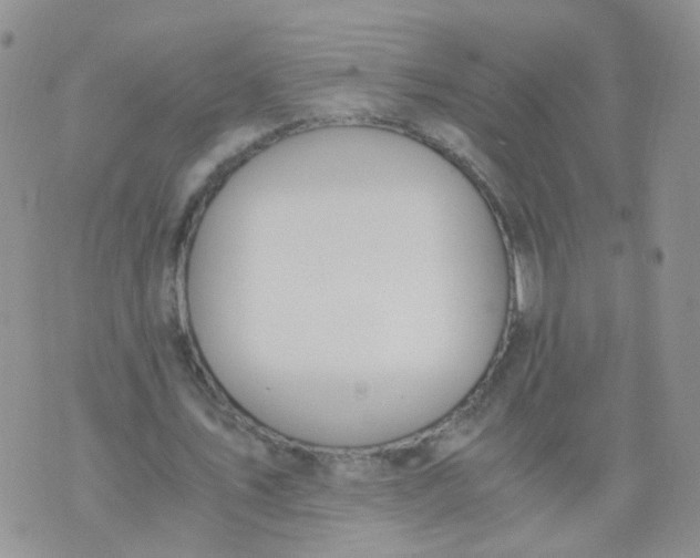 X0000073920579200609011811