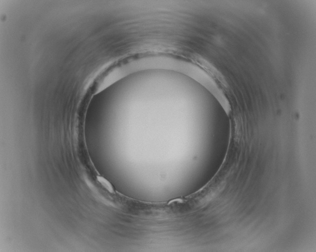 X0000073920580200609011811