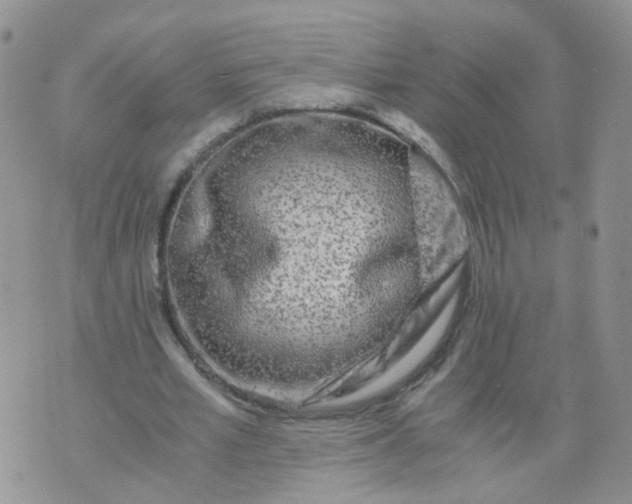 X0000073920581200609011811