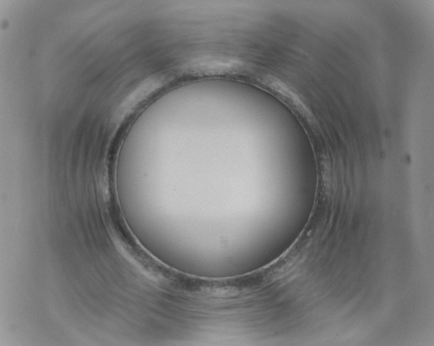 X0000073920582200609011811