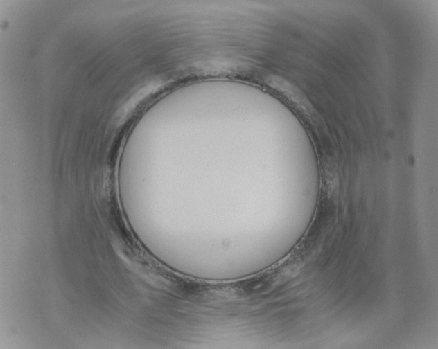 X0000073920583200609011811